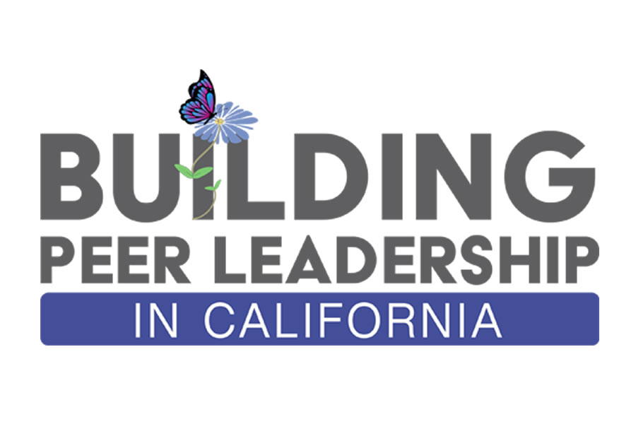 Building Peer Leadership | BPL | CAMHPRO