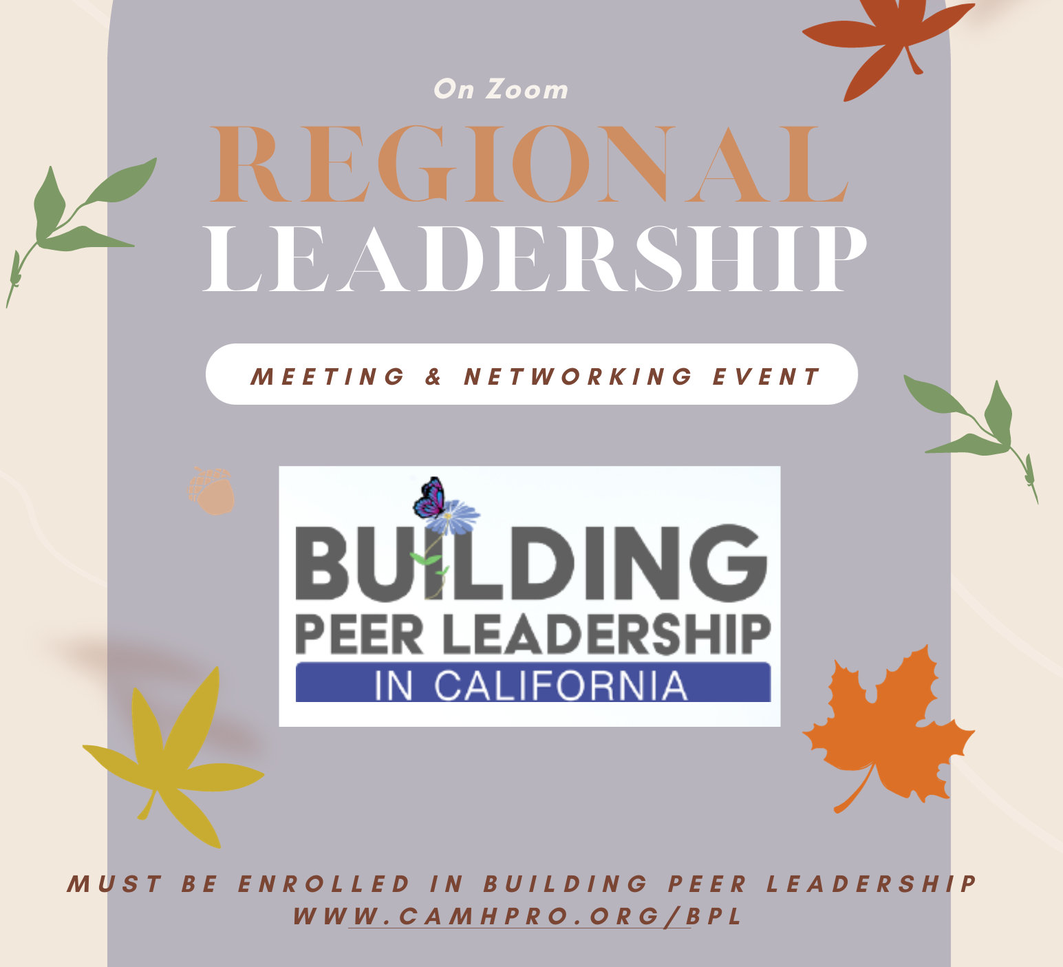 Regional Peer Leadership Meetings