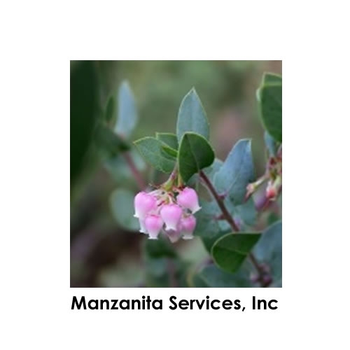 Manzanita Services